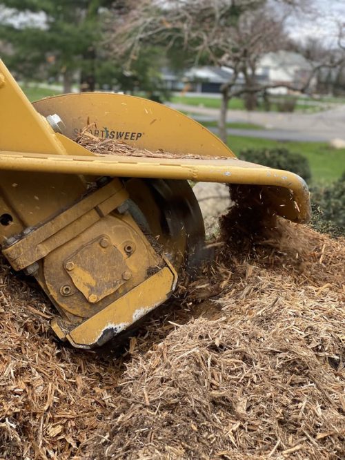stump grinding client